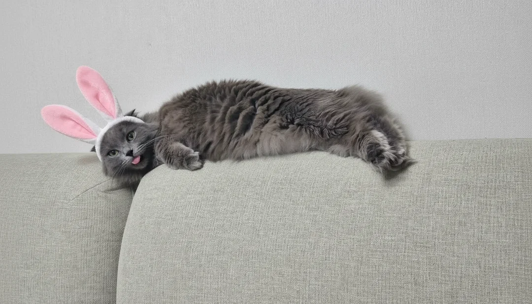 BCAT
